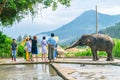 DALAT, VIETNAM - APRIL 15, 2019: Tourists feed an elephant on a tour in Dalat Vietnam