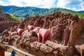 DALAT, VIETNAM - February 17, 2017: Amazing destination for Vietnam tourism, work of art know as sculpture tunnel from clay.