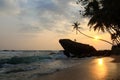 Dalawella Beach in Unawatuna at sunset with the famous giant rock with a man climbing it and hanging palm tree, Sri Lanka Royalty Free Stock Photo