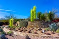 Desert Botanical Garden Phoenix Arizona Desert Cactus Entrance