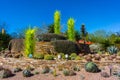 Desert Botanical Garden Phoenix Arizona Desert Cactus Entrance