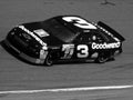 Dale Earnhardt NASCAR Driver. Royalty Free Stock Photo