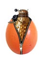 dalek doctor who tardis egg born genesis space galaxy galactic enemy foe exterminate food Royalty Free Stock Photo