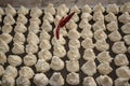 Daler bori is being dried on a net in sunny day. It is a form of dried lentil dumplings popular in Bengali cuisine