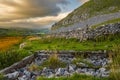 Dales Sheep looking back high above Settle Royalty Free Stock Photo