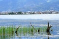 Dali Erhai Lake