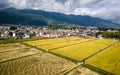 Dali Xizhou old town with Bai minority houses and yellow rice field fly aerial drone shot Dali Yunnan China