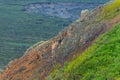 Dall Sheep High Upon Mountain