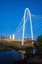 Dallas City skyline at twilight Royalty Free Stock Photo