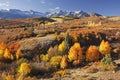 Dallas Divide, Uncompahgre National Forest, Colorado Royalty Free Stock Photo