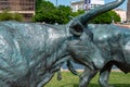 Dallas, Texas - May 7, 2018: Cowboy and longhorn cows with cattle in the background, as part of a landmark bronze cattle