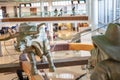 Dallas, Texas, US - 10.2022 - Statue of a cowboy running cattle in the DFW airport rental car facility