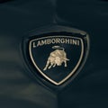 Vintage tone Lamborghini logo on 2018 Rose Gold Chrome Aventador