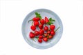 Dalle Khursani, Red Chilli and mint in white plate Royalty Free Stock Photo