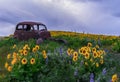 The Dalles Mountain Ranch, Wa Royalty Free Stock Photo