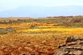 Dallol Crater, Ethiopia, East Africa Royalty Free Stock Photo