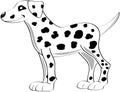 Dalmatian