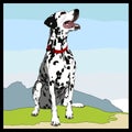 Dalmatian Royalty Free Stock Photo