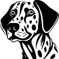 Dalmatian - black and white vector illustration