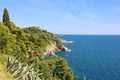 Dalmatian coast with nature green forest trees with blue Adriatic sea, Croatia, Europe Royalty Free Stock Photo