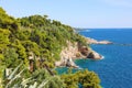 Dalmatian coast with nature green forest trees with blue Adriatic sea, Croatia, Europe Royalty Free Stock Photo