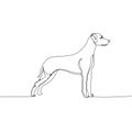 Dalmatian, dog breed, companion dog one line art. Continuous line drawing of friend, dog, doggy, friendship, care, pet