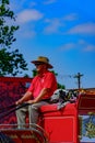 Dalmatian Dog on Budweiser Wagon