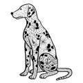 Dalmatian dog doodle