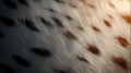 Dalmatian dog fur hair closeup, texture and pattern. Royalty Free Stock Photo