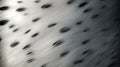 Dalmatian dog fur hair closeup, texture and pattern. Royalty Free Stock Photo