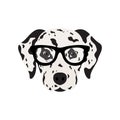Dalmatian dog in glasses.