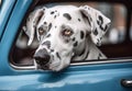 Dalmatian dog looks out of the blue car window close-up, created with Generative AI technology. Royalty Free Stock Photo