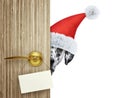 Dalmatian dog in red christmas santa claus hat looking out the door entrance at home with empty card. Isolated on white Royalty Free Stock Photo