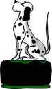 Dalmatian dog sitting