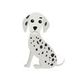 Dalmatian dog sitting