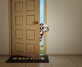 Dalmatian dog waiting near the door with leather leash, ready to go for a walk with his owner