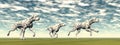 Dalmatian dogs running - 3D render