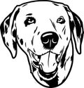 Dalmatian - Funny Dog, Vector File, Cut Stencil for Tshirt