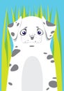 Dalmatian in green grass on blue background