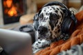A Dalmatian with headphones watching a dog training tutorial on a computer eager to learn new tricks