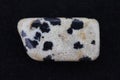 Dalmatian jasper stone texture on black background. Macro closeup