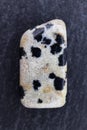 Dalmatian jasper stone texture on black stone background. Macro closeup