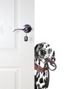 Dalmatian looks to leash from behind the door