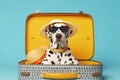 A Dalmatian man in a hat and glasses sits in a suitcase on a blue background. Generative AI