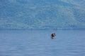 Dalmatian pelican landing beautifully Royalty Free Stock Photo