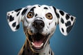 dalmatian portrait on blue background, AI generated