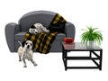 Dalmatian Puppies Sofa Isolated