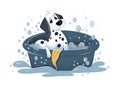Dalmatian Puppy Dog in Tub Royalty Free Stock Photo