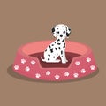 dalmatian puppy footprint pink bed