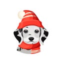 Dalmatian puppy in red hat with pompon and scarf vector